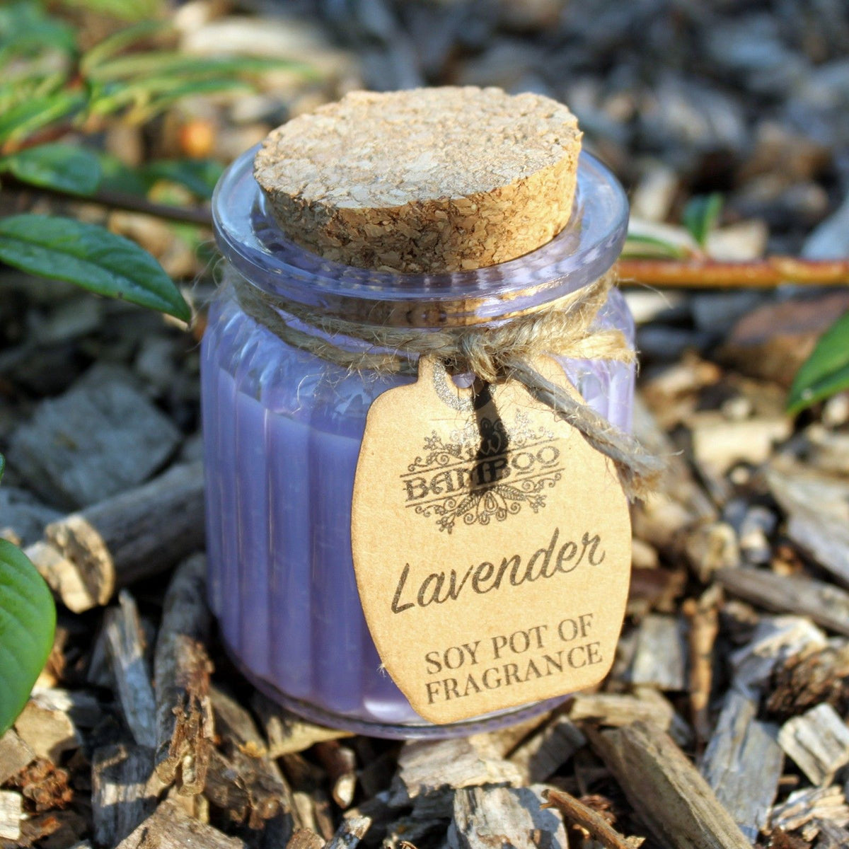 Lavender Soy Pot of Fragrance Candles close-up, NooEdge UK