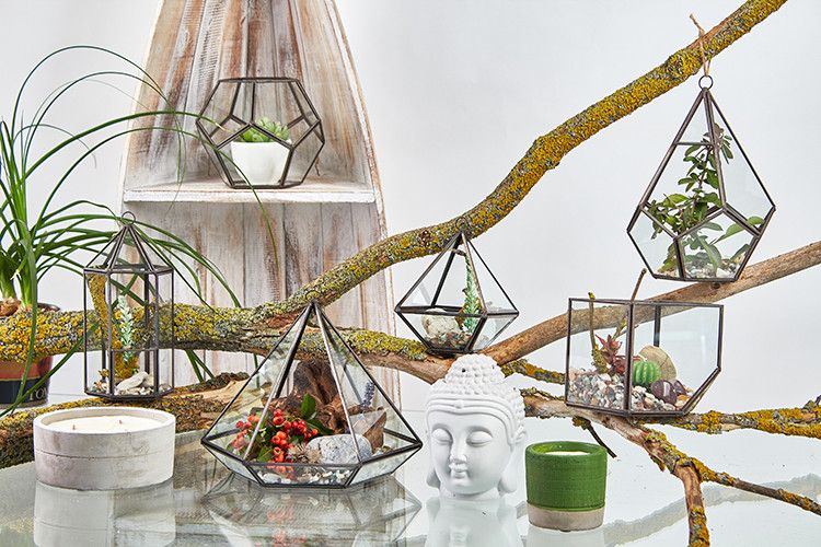Glass Terrarium – alternate angle, NooEdge UK