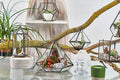 Glass Terrarium – front view, NooEdge UK