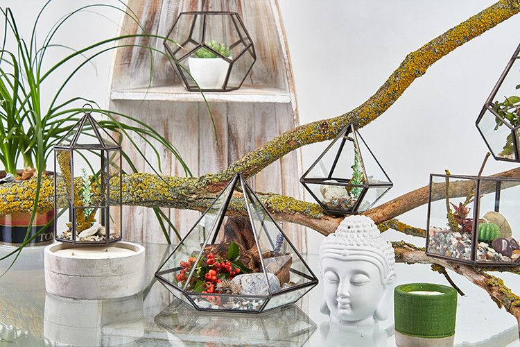 Glass Terrarium – front view, NooEdge UK