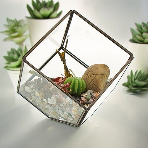 Glass Terrarium – Cube on Corner, NooEdge UK