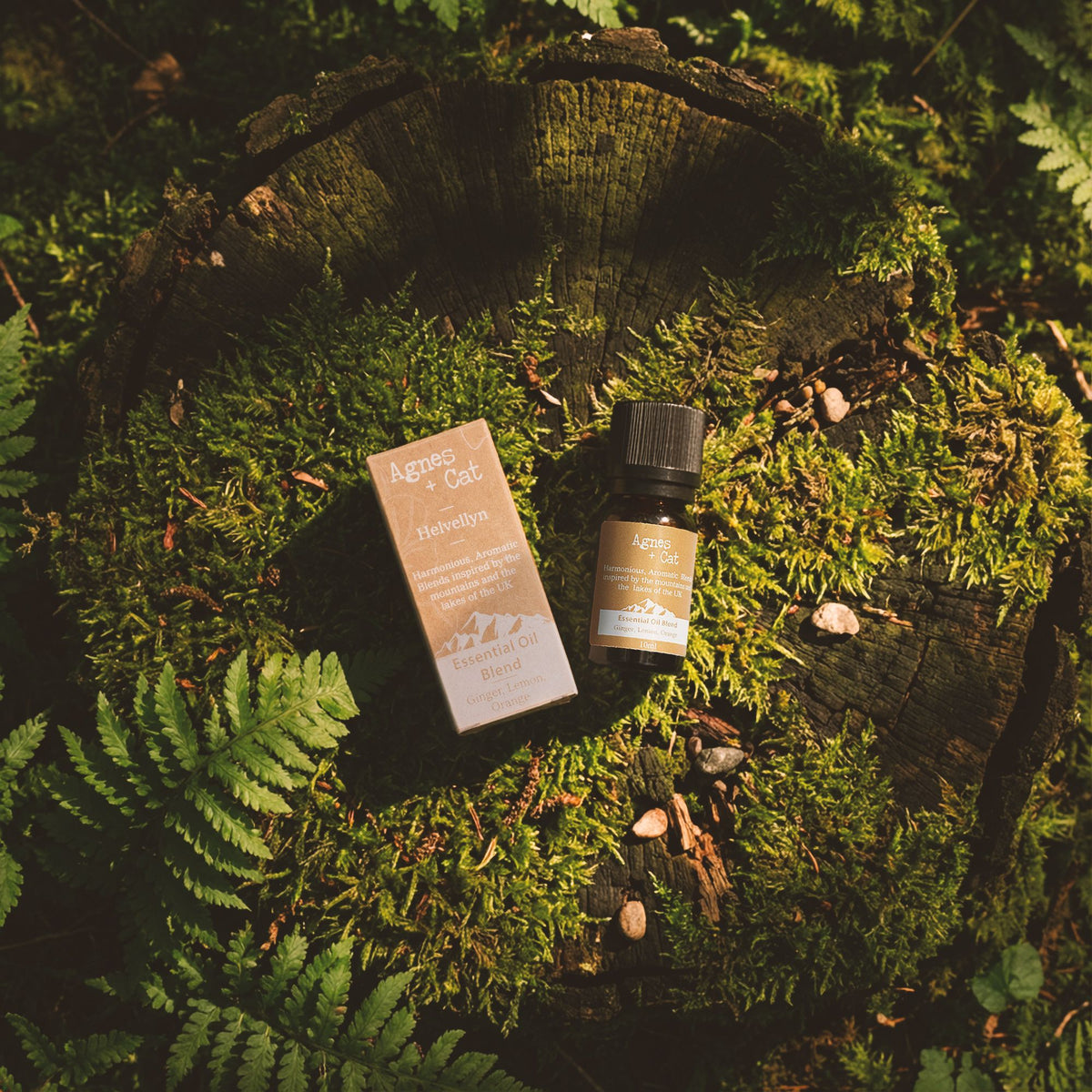 Agnes + Cat Essential Oil Blend – Windermere Lemon, Tea Tree & Pepperm detail, NooEdge UK