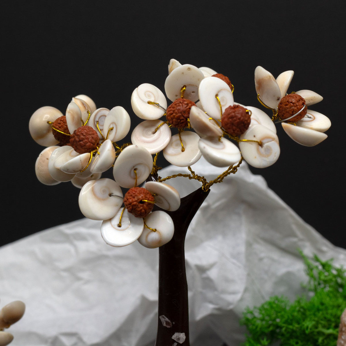Gomati Chakra Circle Stone Tree with Rudraksha – front view, NooEdge UK