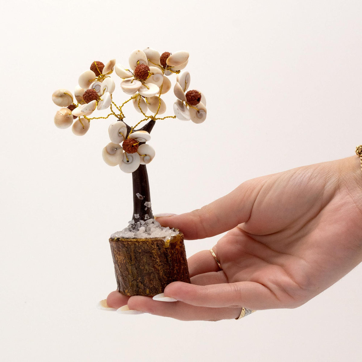 Gomati Chakra Circle Stone Tree with Rudraksha, NooEdge UK