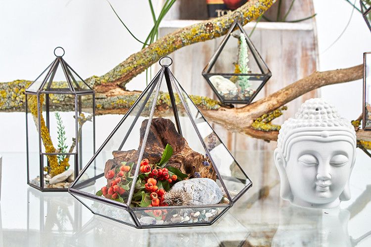 Glass Terrarium – Small Diamond, NooEdge UK