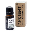 Sleep Easy Essential Oil Blend – Boxed 10ml – NooEdge UK