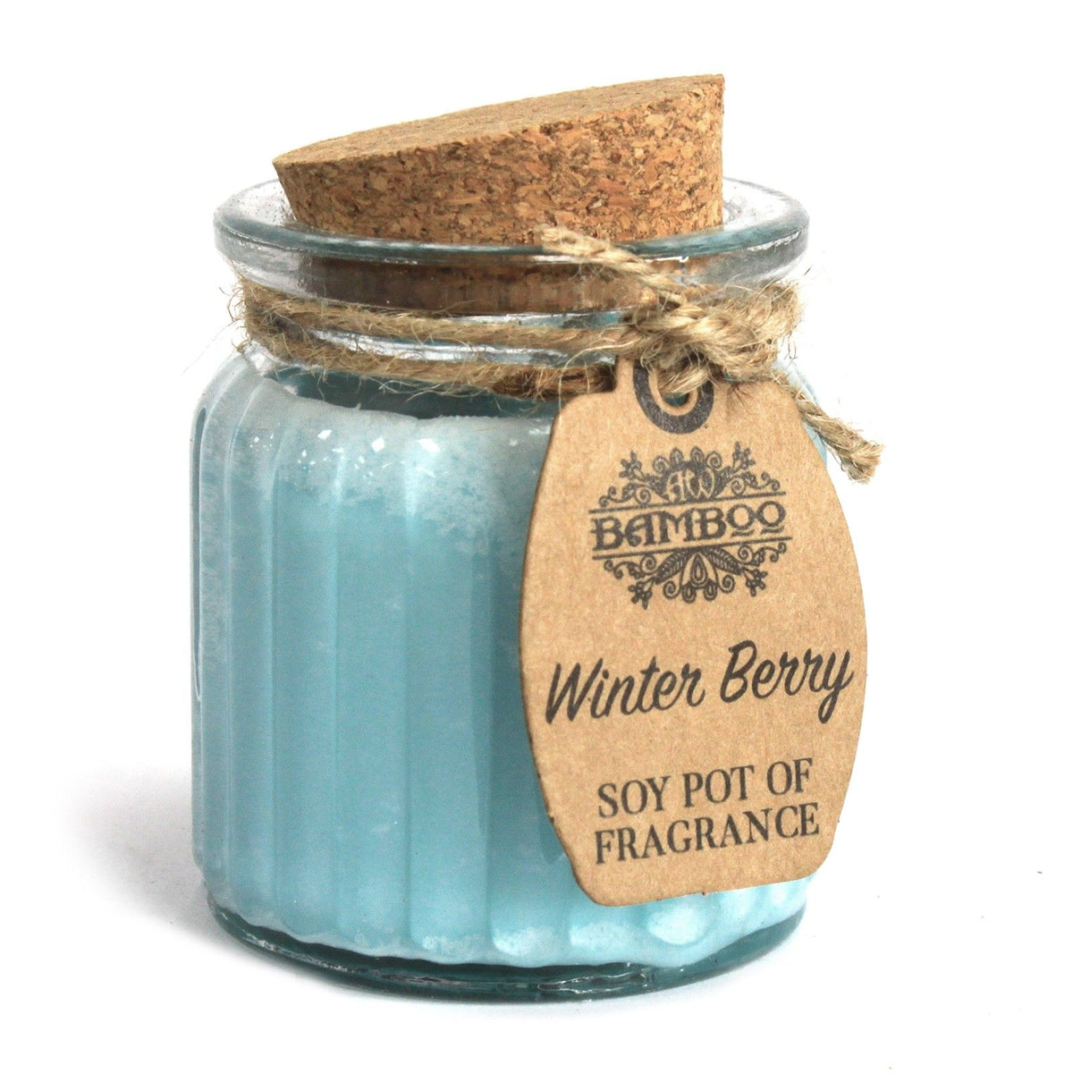 Soy Pot Fragrance Candle – Winter Berry, NooEdge UK