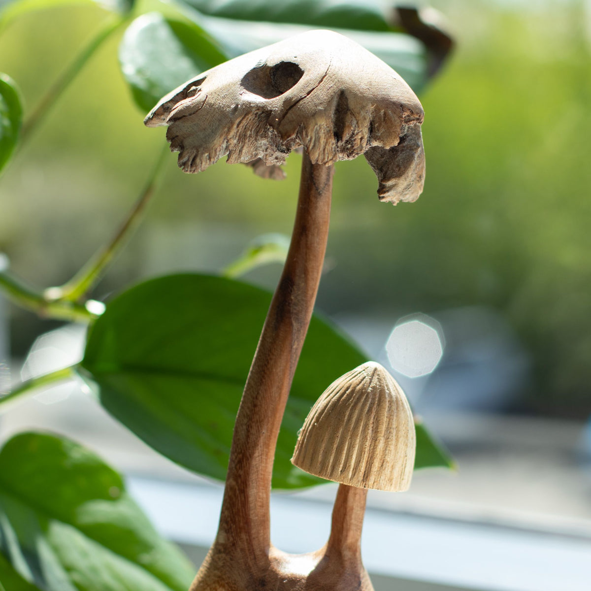 Handmade Parasite Wood Art Carving – Set of Two Mushrooms, NooEdge UK