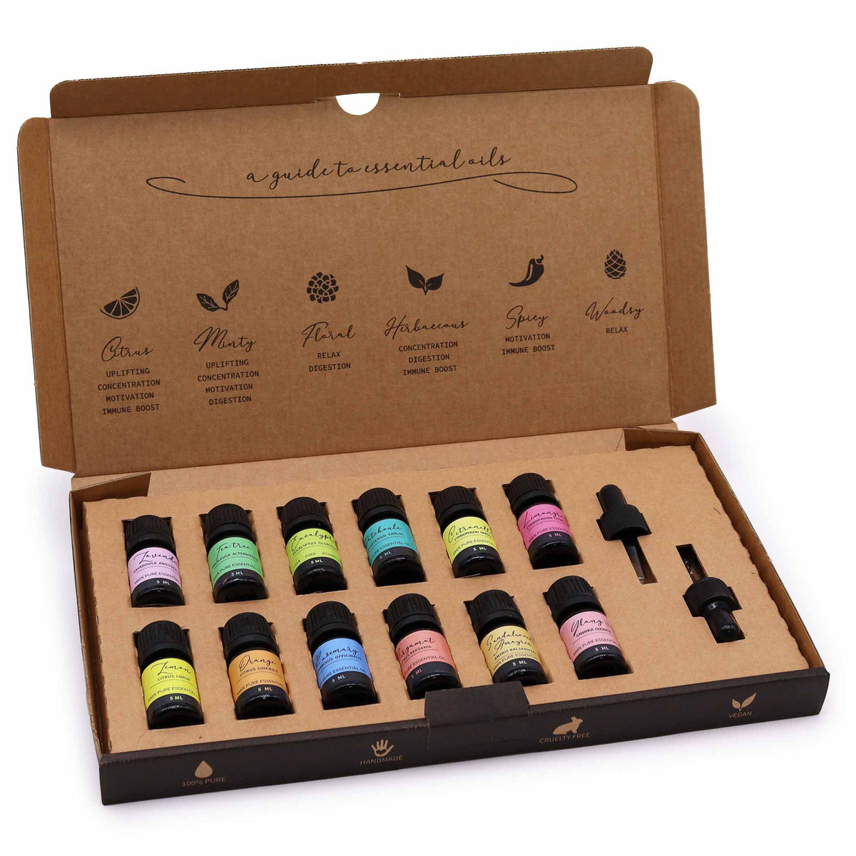 Aromatherapy Essential Oil Set – The Top 12, NooEdge UK