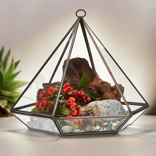 Glass Terrarium – Large Diamond, NooEdge UK
