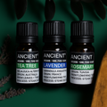 Set of Lavender, Tea Tree & Rosemary Essential Oils – 10ml Each – NooEdge UK