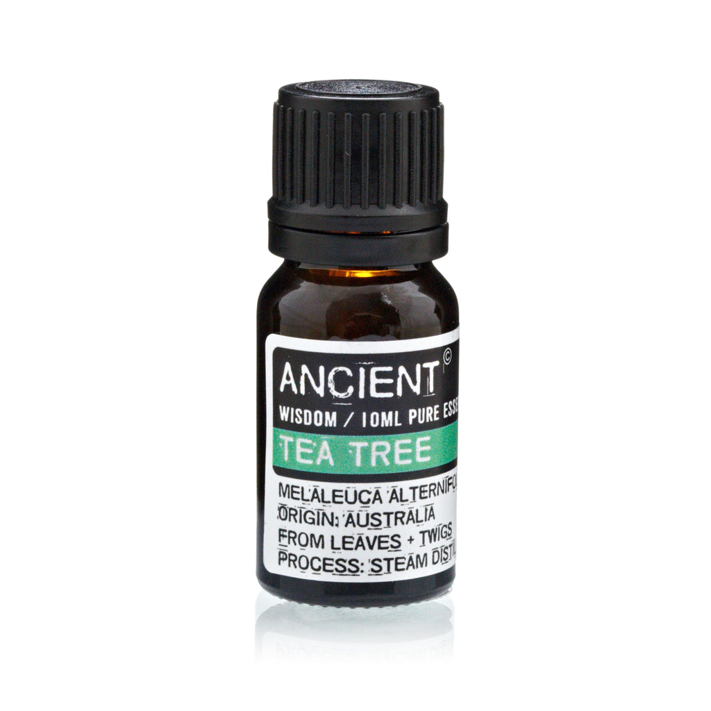 Set of Lavender, Tea Tree & Rosemary Essential Oils – 10ml Each alternate view, NooEdge UK