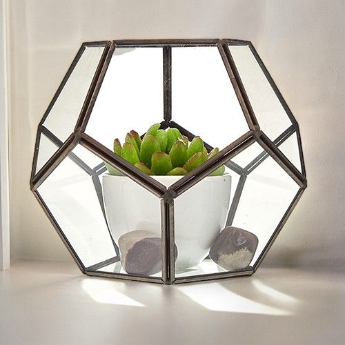 Glass Terrarium – Large Octagon, NooEdge UK