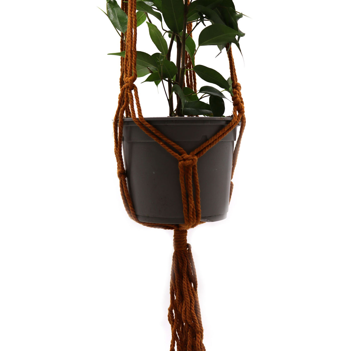 Macrame Pot Holder Classic – Chocolate Medium Pot, NooEdge UK